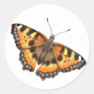 Small Tortoiseshell Butterfly Sticker