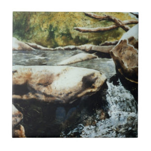 Small trout stream waterfalls watercolor. ceramic tile