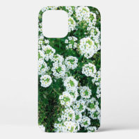 Small white flowers in the grass in the daytime in