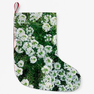 Small white flowers in the grass in the daytime in christmas stocking