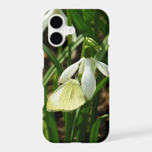 Small White on Snowdrop