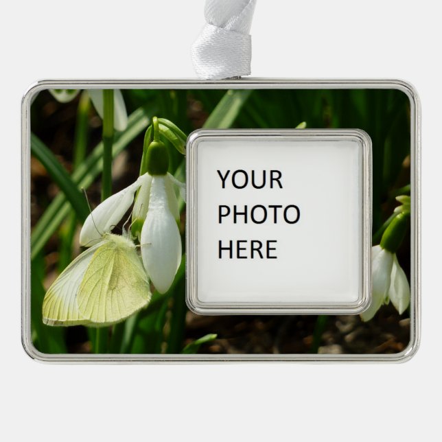 Small White on Snowdrop Silver Plated Framed Ornament (Front)