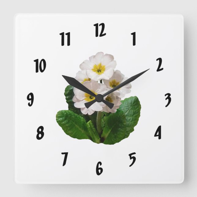 Small White Primroses Square Wall Clock (Front)