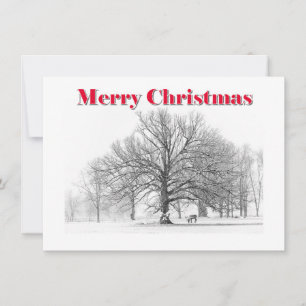 Small Winter Scene Christmas Card White Bow (Flat)