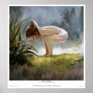Small Wonder Poster