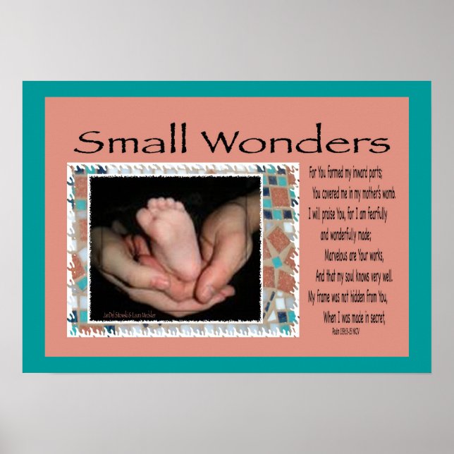Small Wonders Poster (Front)
