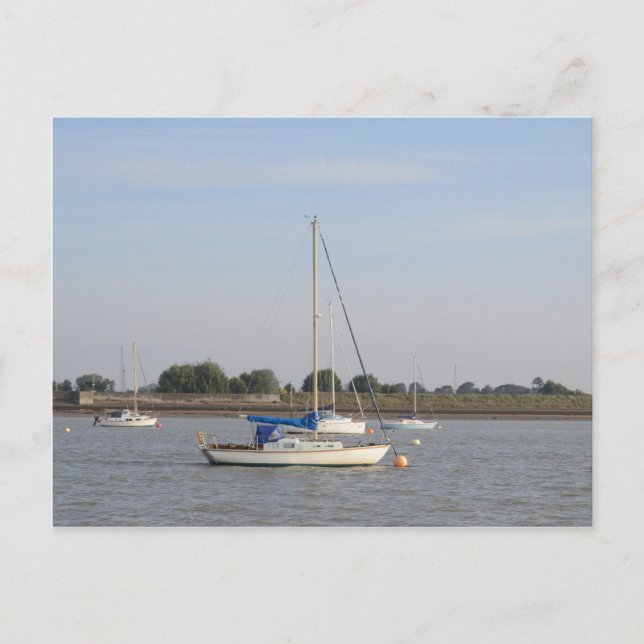 Small Yachts Postcard (Front)