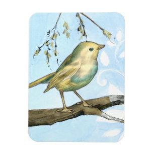 Small Yellow Bird Perched on a Branch Looking up Magnet