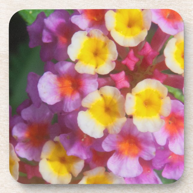 Small Yellow Pink and Purple Tropical Flowers Coaster (Front)