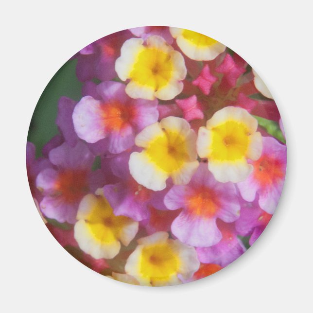 Small Yellow Pink and Purple Tropical Flowers Magnet (Front)