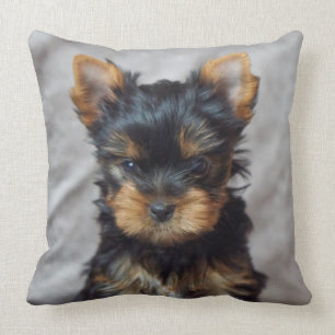 Small yorkie cushion