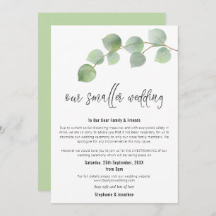 Smaller Wedding Downsize Modern Script Eucalyptus Announcement