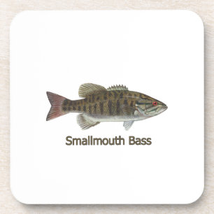 Smallmouth Bass Coaster
