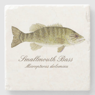 Smallmouth Bass Coaster