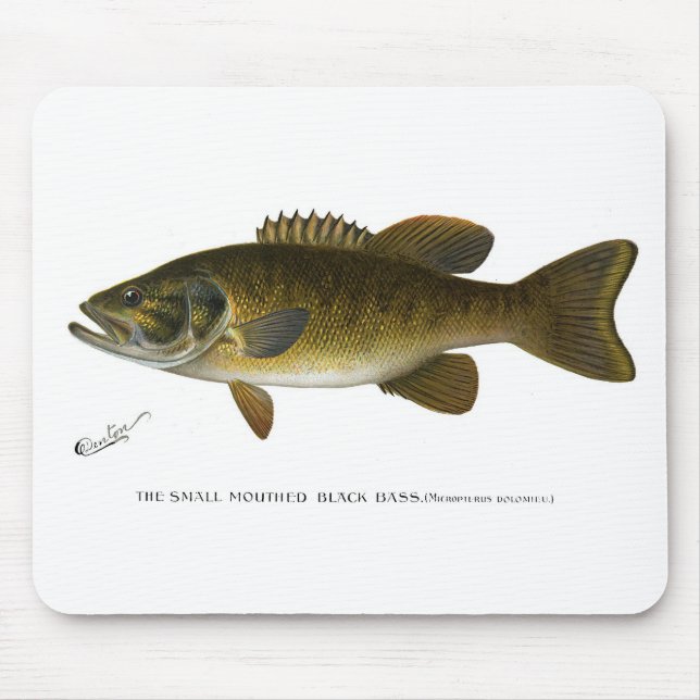 Smallmouth bass mouse pad (Front)