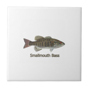 Smallmouth Bass Tile