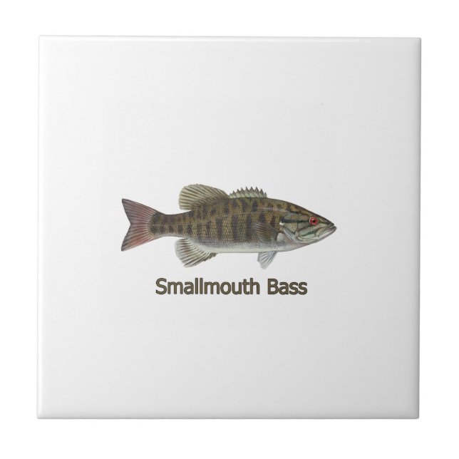Smallmouth Bass Tile (Front)