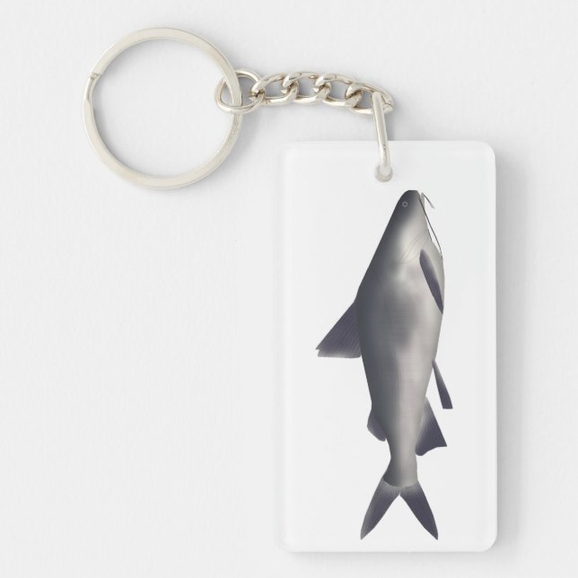 Smalltooth Catfish Key Ring (Front)