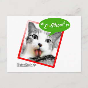 smart cat postcard