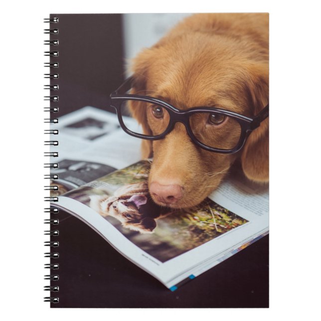 Smart Dog with Glasses on a Book (Front)