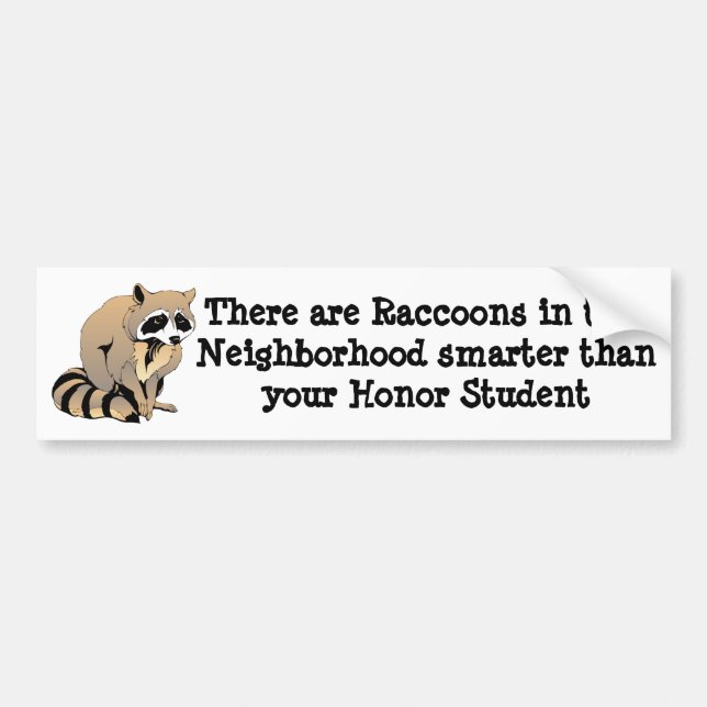 Smart Racoon Bumper Sticker (Front)