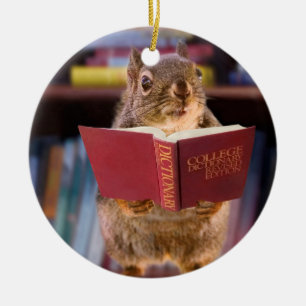 Smart Squirrel Reading a Dictionary Ceramic Tree Decoration