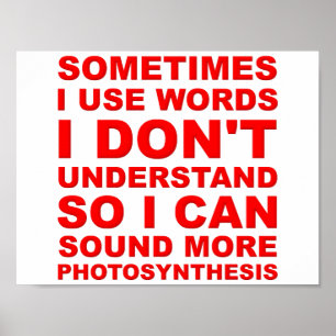 Smart Words Funny Poster