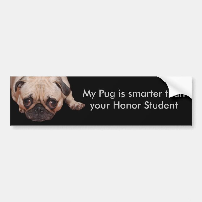 Smarter Pug Bumper Sticker (Front)