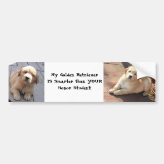 smarter than an honour student bumper sticker