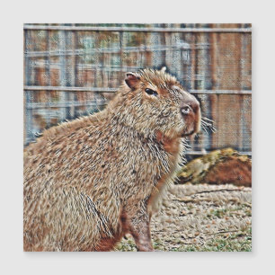 SmartMix Animal- Capybara