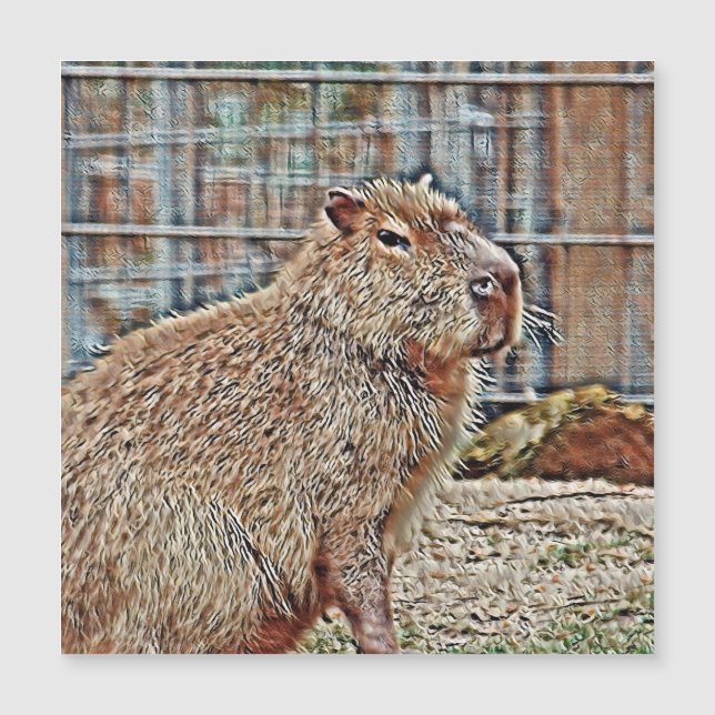 SmartMix Animal- Capybara (Front)