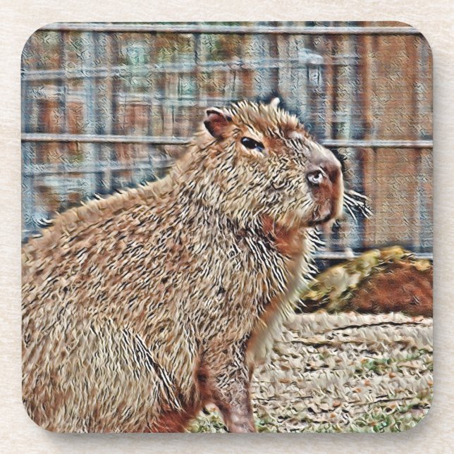 SmartMix Animal- Capybara Coaster (Front)