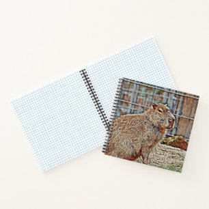SmartMix Animal- Capybara Notebook