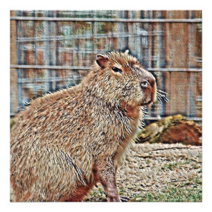 SmartMix Animal- Capybara Photo Print