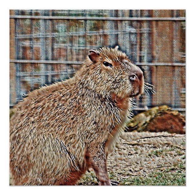 SmartMix Animal- Capybara Poster (Front)