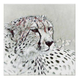 smartmix animal- cheetah poster