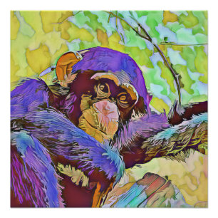 smartmix animal - chimpanzee 3 poster
