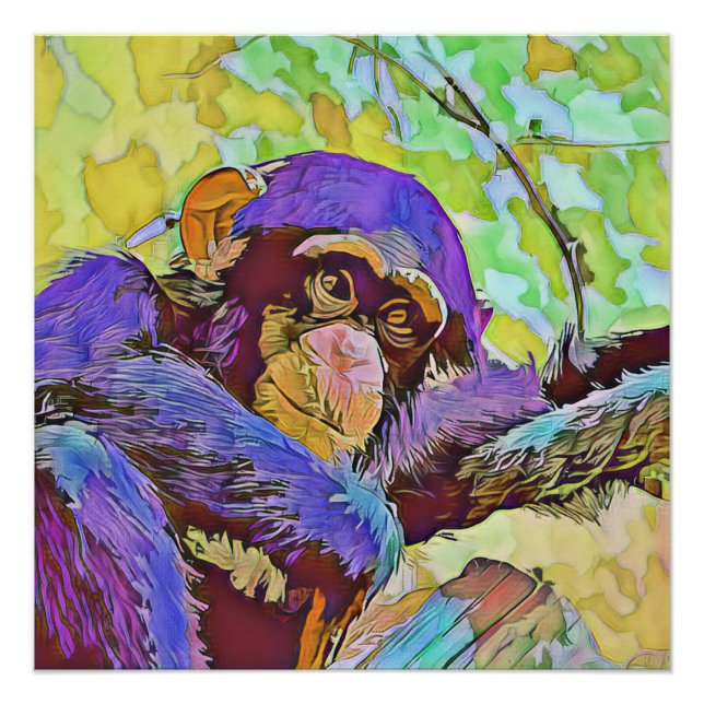 smartmix animal - chimpanzee 3 poster (Front)