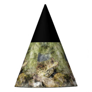SmartMix animal frog Party Hat