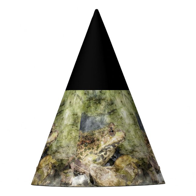 SmartMix animal frog Party Hat (Front)