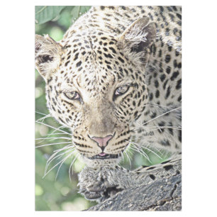 smartmix animal-leopard 2 tablecloth