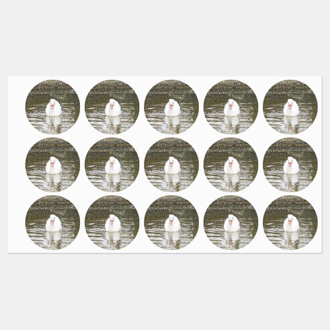 SmartMix Animal- Swan (Sheet)