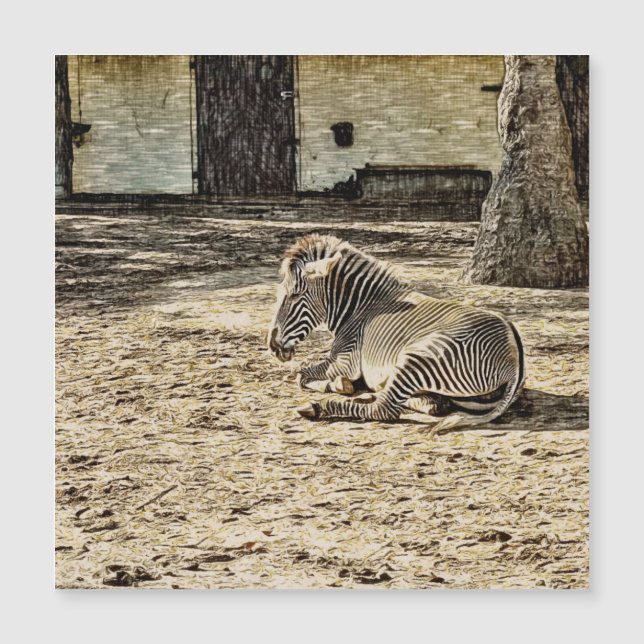 smartmix animal -zebra (Front)