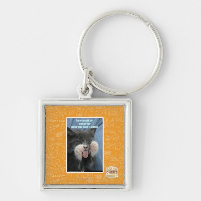 Smartmouth cat key ring (Front)