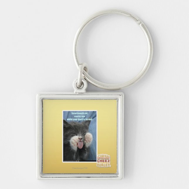 Smartmouth cat key ring (Front)