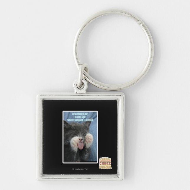 Smartmouth cat key ring (Front)