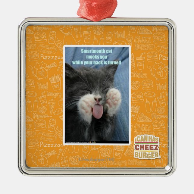 Smartmouth cat metal ornament (Front)