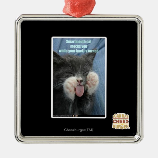 Smartmouth cat metal ornament (Front)