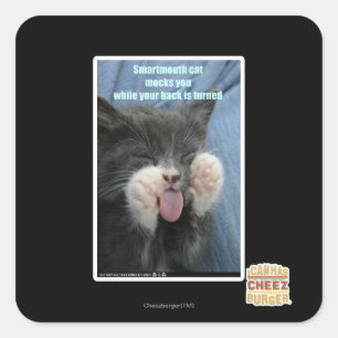 Smartmouth cat square sticker