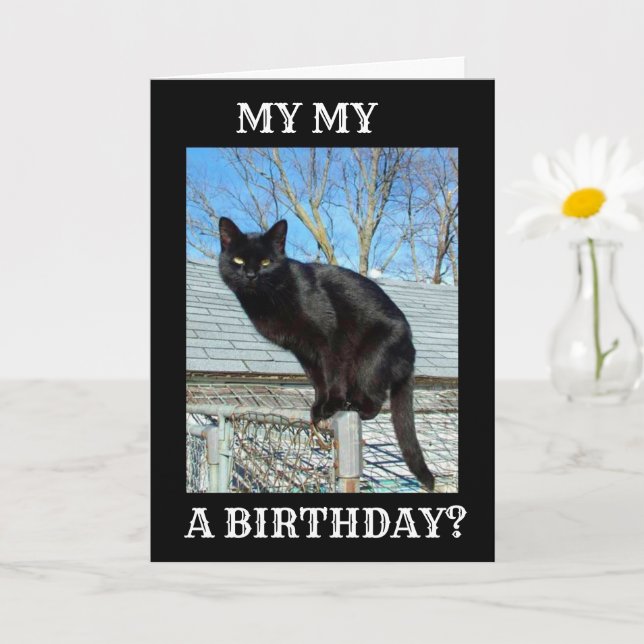 *SMARTY PANTS BLACK CAT** BIRTHDAY CARD (Small Plant)